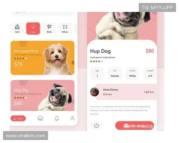 开云真人app官网入口全面介绍平台特色与用户体验提升技巧