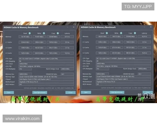 提升在ag视讯国际厅中的胜率技巧,实用策略与实战经验分享