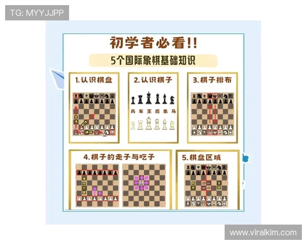 百家游戏规则详解帮助新手快速掌握游戏玩法与技巧指南