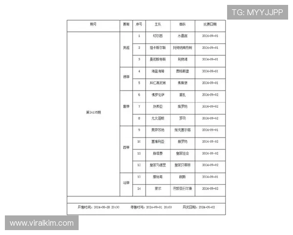 世界杯瑞士对阵波黑比赛中两队射门次数详细统计与分析